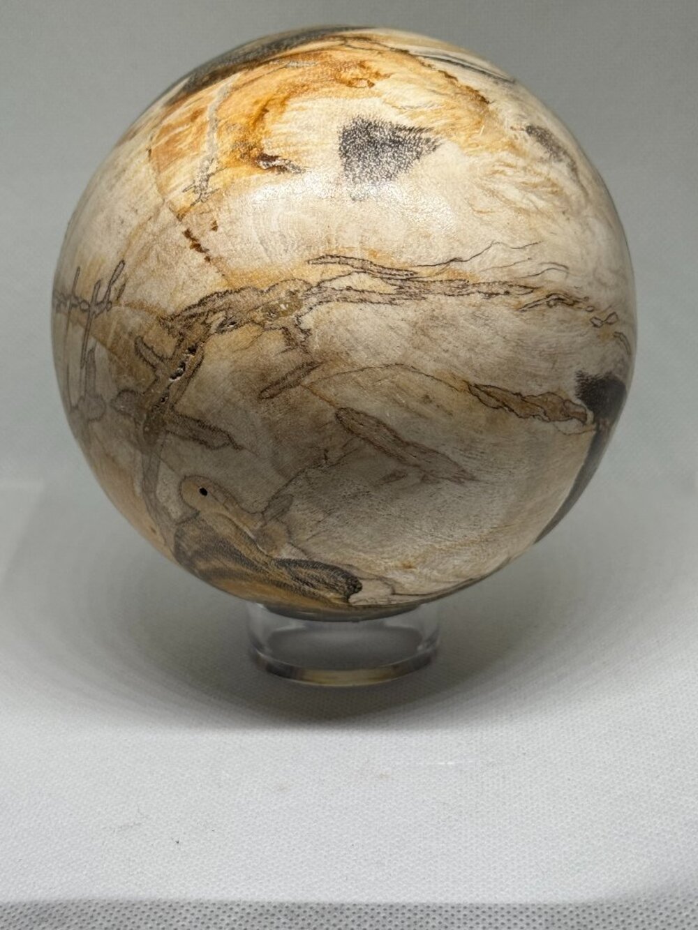 Display Stone Natural Petrified Wood Sphere 125mm 1.82kg Polished Fossil Wood